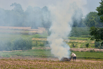 fire in the field