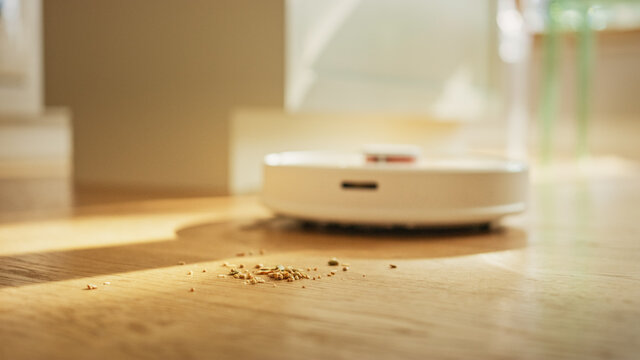 Ground Level Close-up Shot: Effective Robotics Vacuum Cleans Spots Cookie Crumbs On The Hardwood Floor Cleans Everything Automatically. Internet Of Things Automated Gadget.