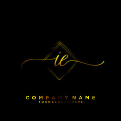 IE Initial handwriting logo vector