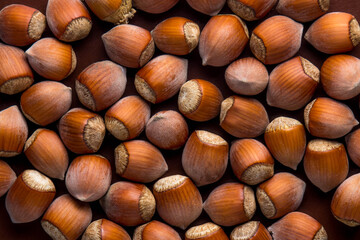 Hazelnuts in full screen. A lot of hazelnuts on a brown background. Photo above