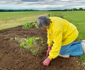 Woman digging in a Garden