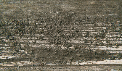 faded moss macro closeup on old wood background