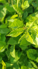 Fototapeta na wymiar vertical green summer dense vegetation background with young leaves