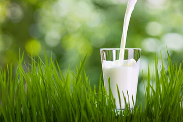 milk pouring into glass