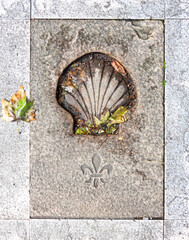 Pilgrim's shell (Venera) in the way of Santiago de Compostela.