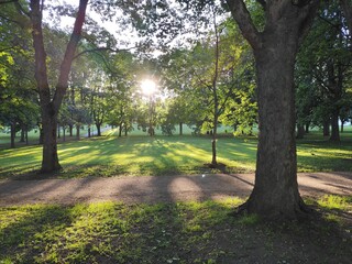 Obraz premium alley in the park