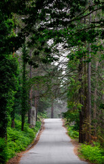 Fototapeta premium Welcome to Ermida a magical place in the woodlands of Geres National Park.