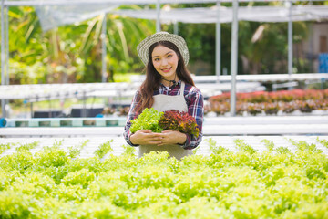 Beautiful female farmers are studying in Grow vegetables for quality analysis to collect data Check the quality and quantity of production of organic vegetables at modern hydroponic farms.