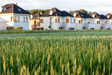 Green fields in the suburbs of Warsaw, Poland © hunter76
