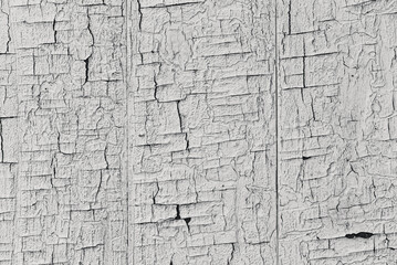 Background texture of an old wooden surface with white peeling paint