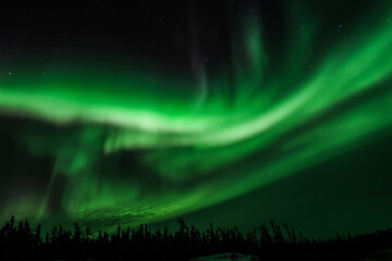 Fototapeta na wymiar Northern Lights (Aurora Borealis), Yellowknife, Canada
