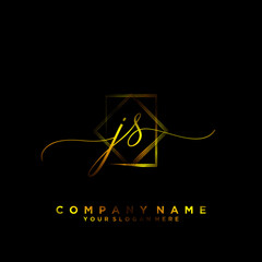 JS Initial handwriting logo vector