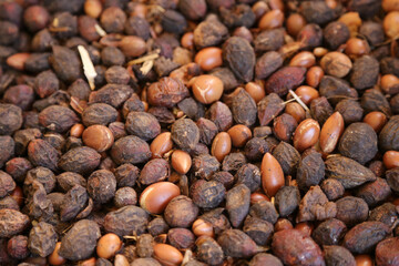 argan nuts close up
