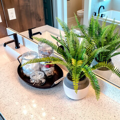 Square crop Potted fern and tray with jars on white countertop with sink and black faucet