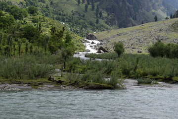 mountain river in the mountains
