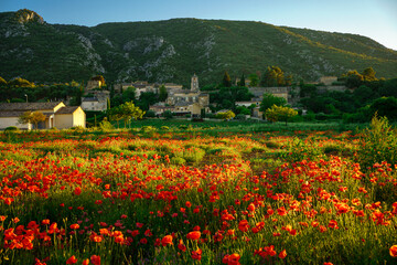 Vue panoramique sur le village Maubec  en Provence, France, parc naturel Luberon au printemps....