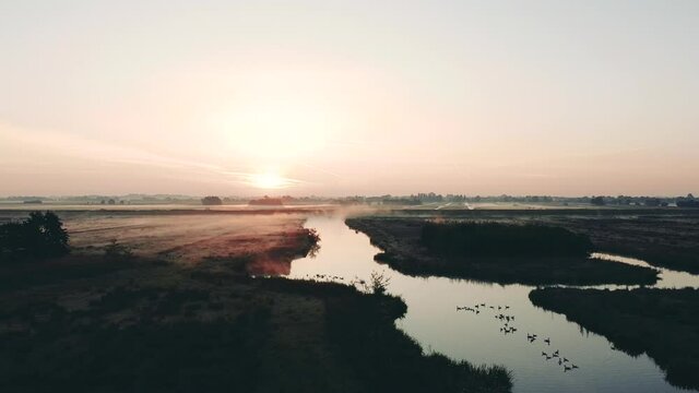 Aerial shot of the rural dutch countryside with fog at sunrise, Netherlands. Water and dikes with birds. High quality FullHD footage