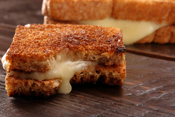 Fresh sandwich with cheese and empty space for text.