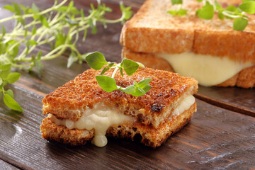 Fresh sandwich with cheese and herbs with empty space for text.