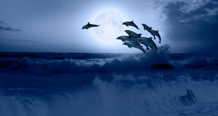 Silhoutte of dolphins jumping up from the sea at sunset with full moon 