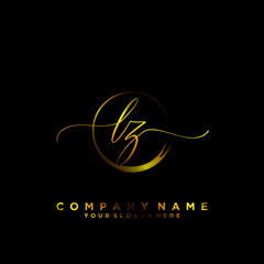 LZ Initial handwriting logo vector