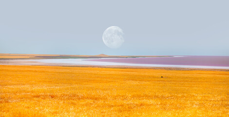 View of water on pink salt lake in the foreground golden wheat field with full moon "Elements of this image furnished by NASA"