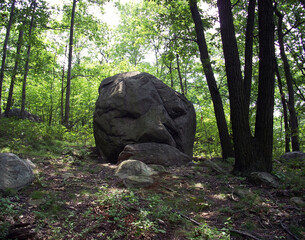Old man face seen in rock