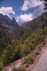 Obraz premium Mountain scenery of the heart of the island of Corsica, in the Mediterranean. Restonica, Corste