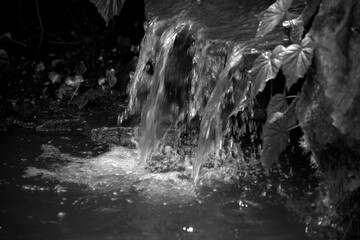 Obraz premium Waterfall in Black and White