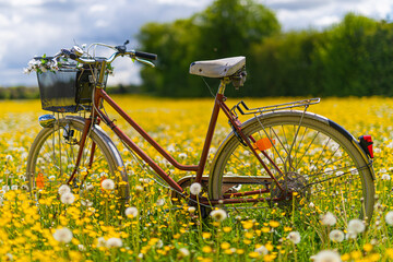 Fototapeta na wymiar Old bicycle on a yellow and green meadow