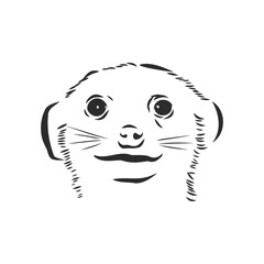 meerkat icon. animal sign, meerkat animal, vector sketch illustration