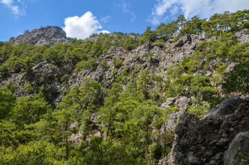 Landscape of the Taurus mountains covered by trees on famous Likya Yolu tourist way in Turkey