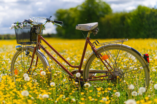 Old bicycle on a yellow and green meadow