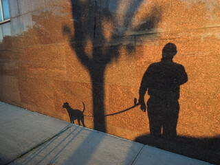 Shadow man walking his shadow dog