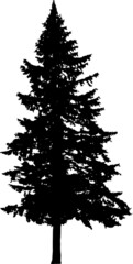 Illustration with pine tree silhouette isolated on white background
