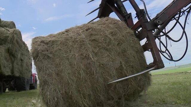 loading bales of hay Tractor to the flatbed trailer in the field. countryside