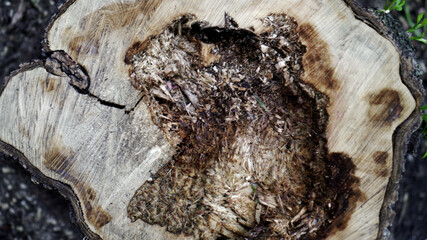 stone, wall, brick, texture, pattern, block