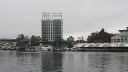 Fototapeta premium río, lago, parques, montañas, aves silvestresárboles