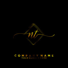 NT Initial handwriting logo vector
