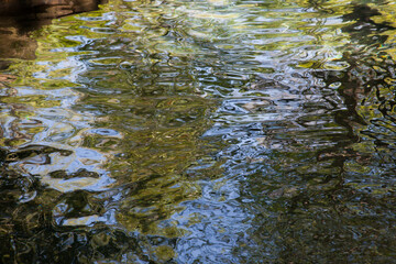 Abstraction with ripples in water and reflections