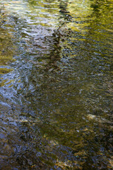 Abstraction with ripples in water and reflections