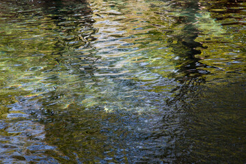Abstraction with ripples in water and reflections