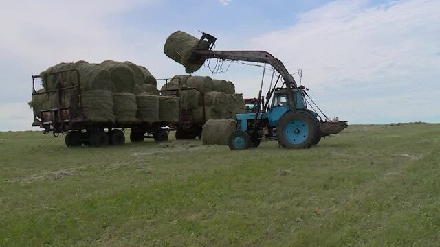 loading bales of hay Tractor to the flatbed trailer in the field. countryside