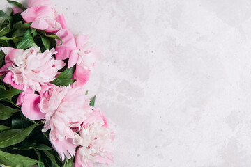 Peonies flowers pink and white on a light textured background with place for text, top view. Summer layout concept