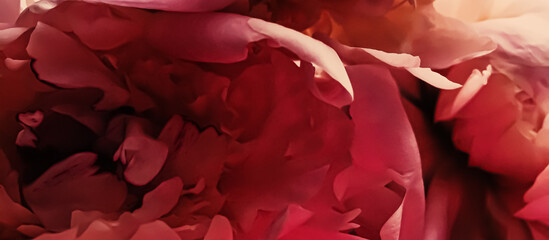 Red peony flower as abstract floral background for holiday branding © Anneleven