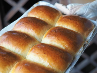 Freshly baked dinner bread rolls
