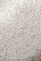 white pudding rice background