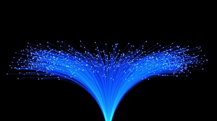 Fiber Optic cable flower internet cable fiber cables 