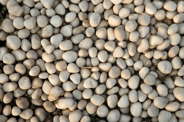 white pebble stones
