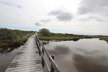 Fototapeta na wymiar A panoramic view over a bridge in a national reserve with salt marshes. Photo was taken on a sunny day in May.